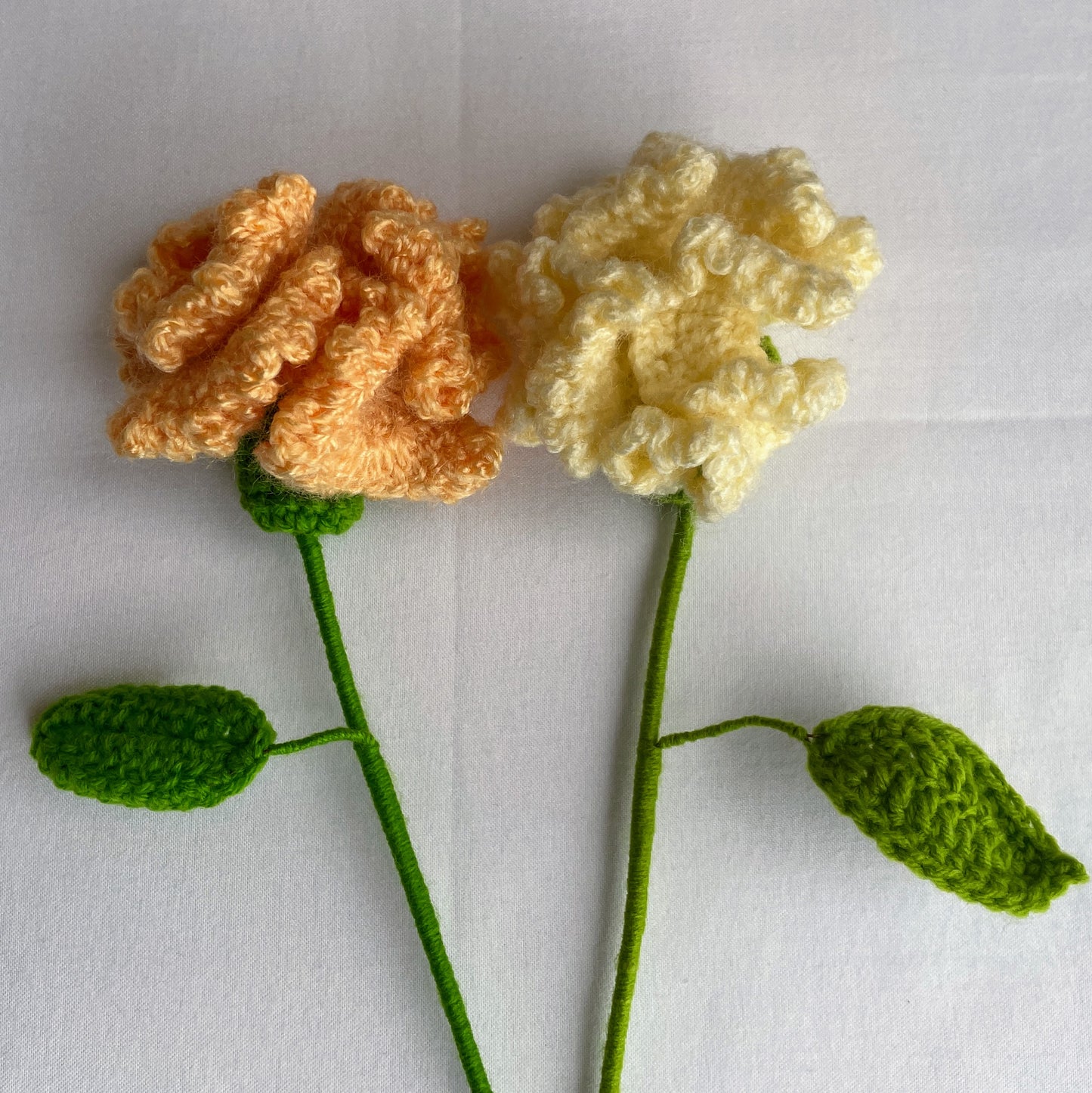 Carnation flower set