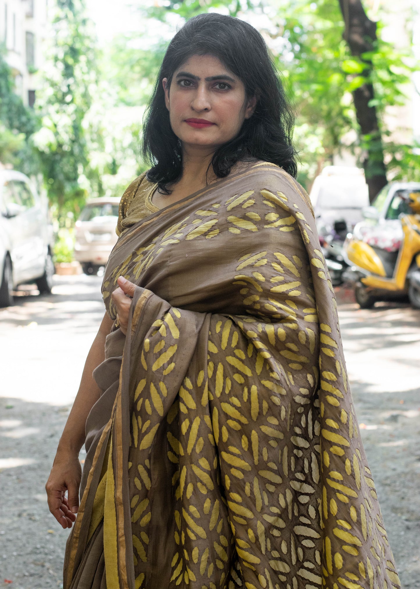 Brown Applique Chanderi Saree