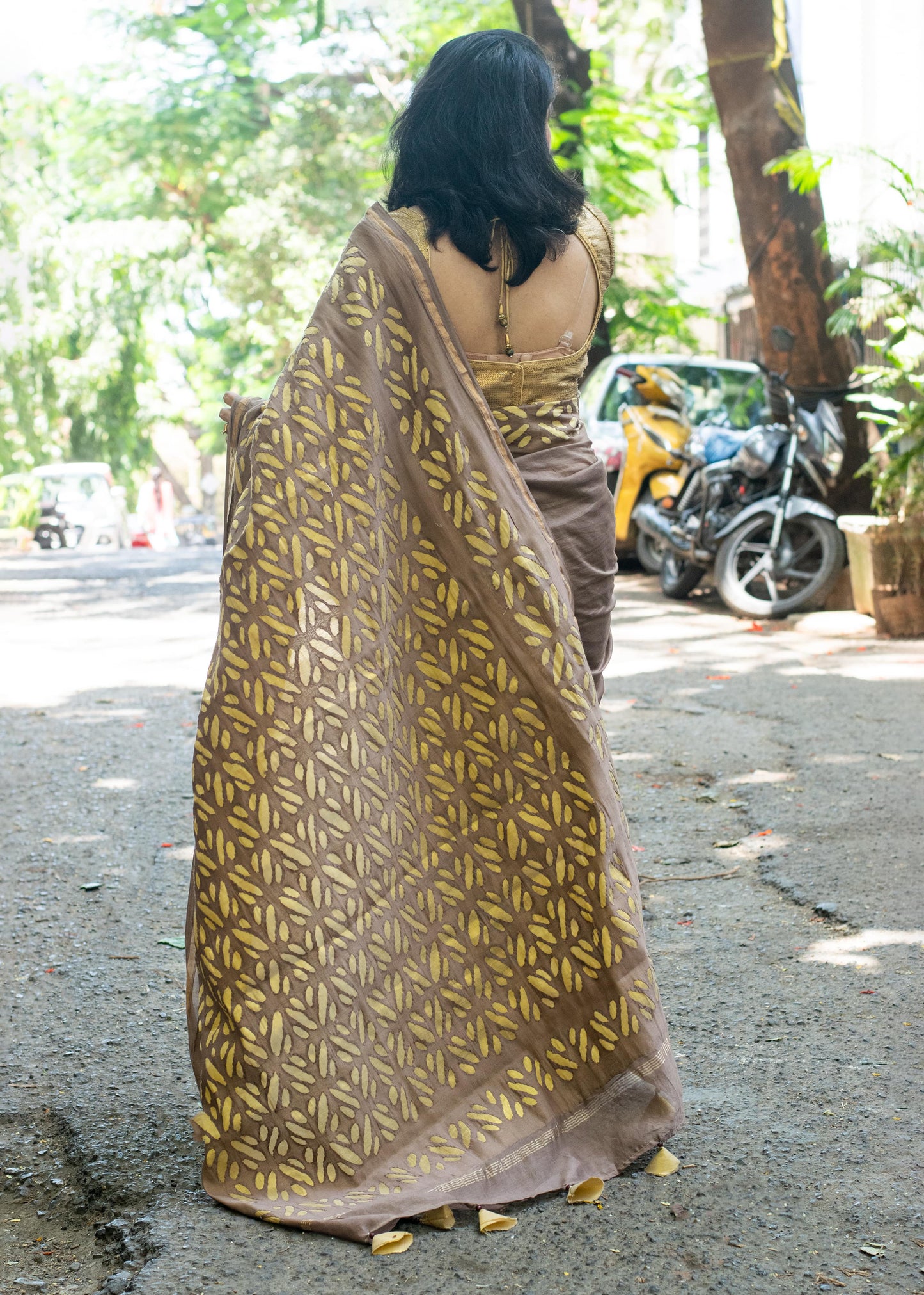 Brown Applique Chanderi Saree